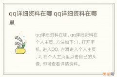 qq详细资料在哪 qq详细资料在哪里