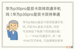 华为p30pro是双卡双待单通还是双通 华为p30pro是双卡双待双通手机吗