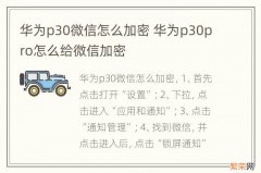 华为p30微信怎么加密 华为p30pro怎么给微信加密