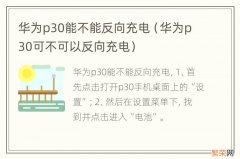 华为p30可不可以反向充电 华为p30能不能反向充电