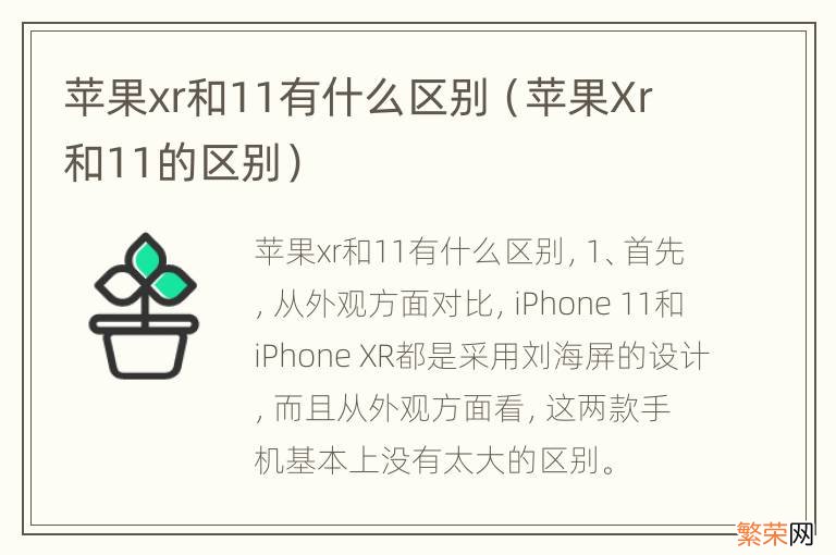 苹果Xr和11的区别 苹果xr和11有什么区别