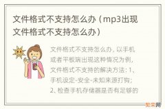 mp3出现文件格式不支持怎么办 文件格式不支持怎么办