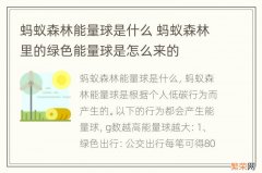 蚂蚁森林能量球是什么 蚂蚁森林里的绿色能量球是怎么来的