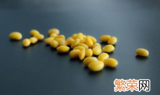 黄豆怎么泡发芽快 黄豆怎么泡发