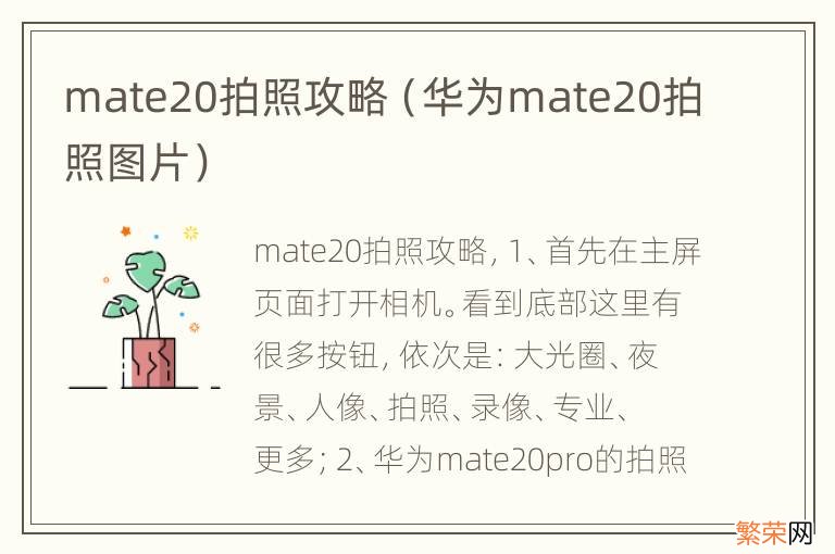 华为mate20拍照图片 mate20拍照攻略