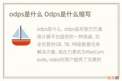 odps是什么 Odps是什么缩写