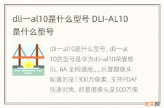 dli一al10是什么型号 DLI-AL10是什么型号