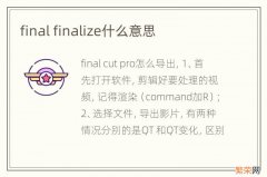 final finalize什么意思