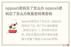 oppoa5密码忘了怎么办 oppoa5密码忘了怎么办恢复密码需密码