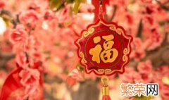 装饰新年的物品 新年春节装饰礼物品