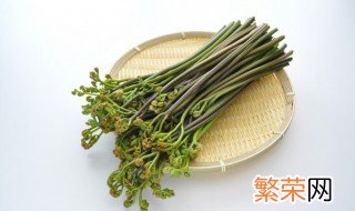 新鲜蕨菜的储存方法 蕨菜储存方法