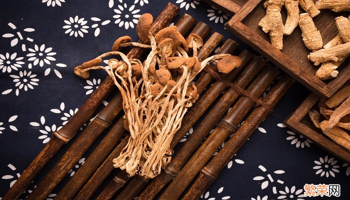 茶树菇怎么洗 茶树菇的处理方法