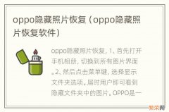 oppo隐藏照片恢复软件 oppo隐藏照片恢复