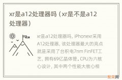 xr是不是a12处理器 xr是a12处理器吗