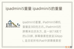 ipadmini5重量 ipadmini5的重量