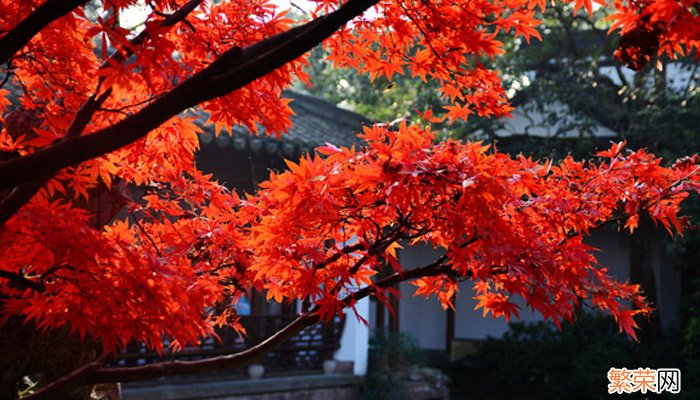 香山在哪个城市 香山在哪儿