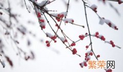 2021年小雪是几月几日 2021年小雪时间