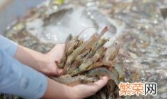 基围虾虾背和虾腹的黑线 基围虾腹部的黑线是什么