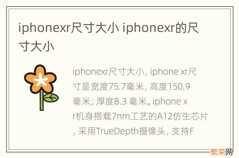 iphonexr尺寸大小 iphonexr的尺寸大小