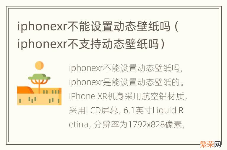 iphonexr不支持动态壁纸吗 iphonexr不能设置动态壁纸吗