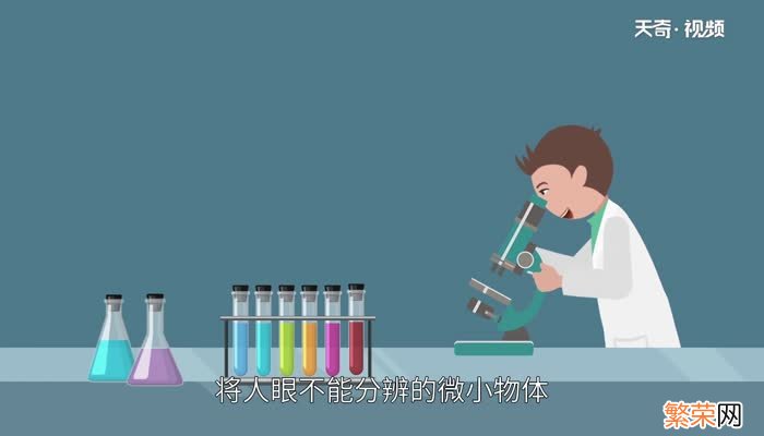 显微镜成像原理 显微镜的使用方法