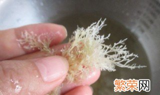 煮海石花为什么要加醋 海石花放醋起什么作用