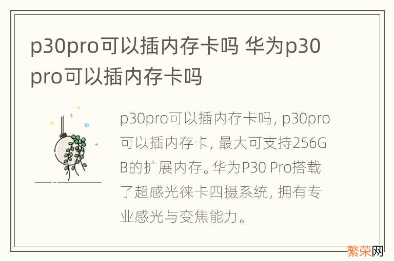 p30pro可以插内存卡吗 华为p30pro可以插内存卡吗