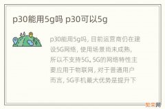 p30能用5g吗 p30可以5g