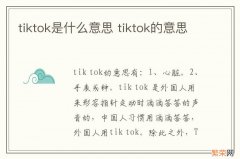 tiktok是什么意思 tiktok的意思