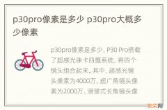 p30pro像素是多少 p30pro大概多少像素