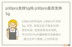 p30pro支持5g吗 p30pro是否支持5g