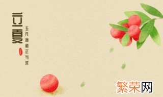 立夏是几月几日2019 立夏是几月几日2021