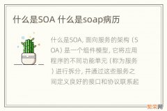 什么是SOA 什么是soap病历