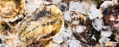 生海蛎子怎么保存 海蛎子 怎么保存