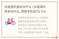 抖音国外版本叫什么_西西手机站Tik Tok 抖音国外版本叫什么