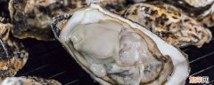 去壳的海蛎子怎么保存 带壳的海蛎子怎么保存