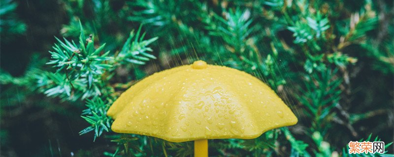 天上雨水哪里来的 天上雨水是怎么来的