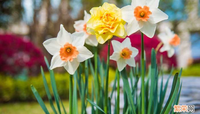 三月春天的诗句 描写三月春天的诗句