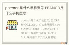 pbemoo是什么手机型号 PBAMOO是什么手机型号