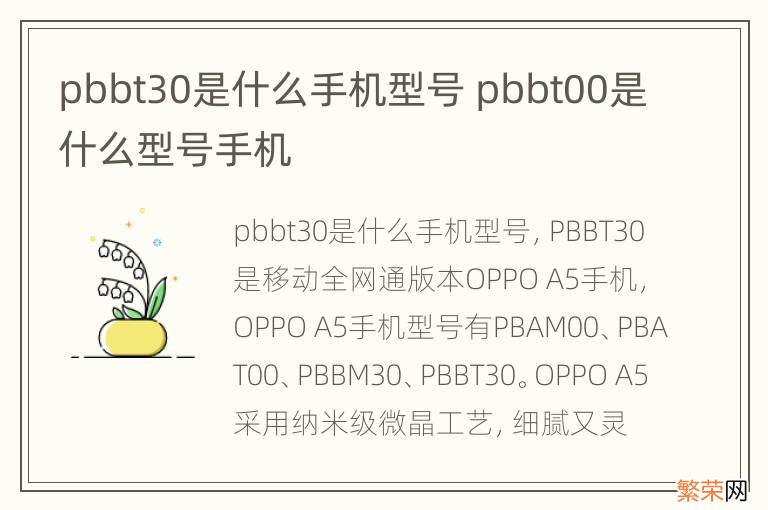 pbbt30是什么手机型号 pbbt00是什么型号手机