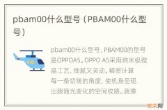 PBAM00什么型号 pbam00什么型号