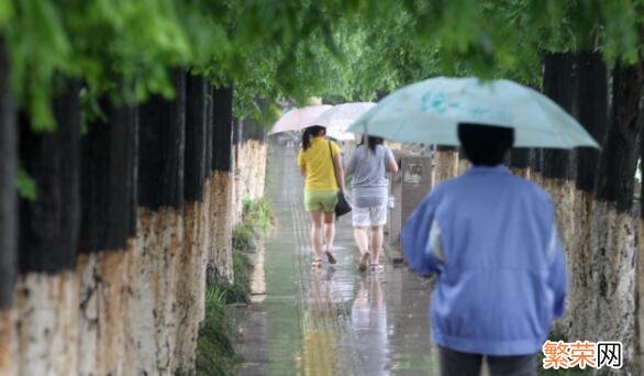 梅雨季注意事项 梅雨天气要注意些什么