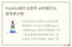 tnyaloo是什么型号 al00是什么型号多少钱