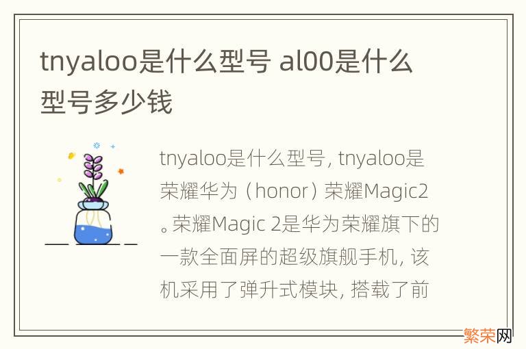 tnyaloo是什么型号 al00是什么型号多少钱