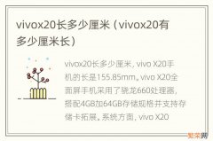 vivox20有多少厘米长 vivox20长多少厘米