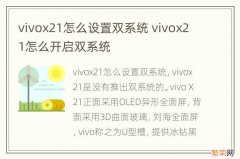 vivox21怎么设置双系统 vivox21怎么开启双系统