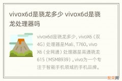 vivox6d是骁龙多少 vivox6d是骁龙处理器吗