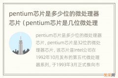 pentium芯片是几位微处理器芯片 pentium芯片是多少位的微处理器芯片