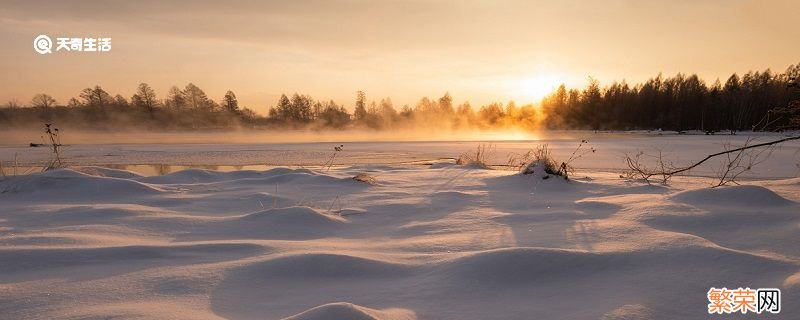 冬日暖阳的唯美句子 有哪些唯美的冬日暖阳语录