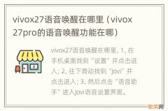 vivox27pro的语音唤醒功能在哪 vivox27语音唤醒在哪里